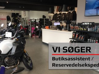 Butiksassistent sges.