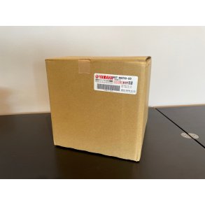 Immobilizer kit ECU - MT-10 - B67-W8250-00