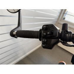 Indian Sport Scout 1250 Ltd Black Smoke 2025