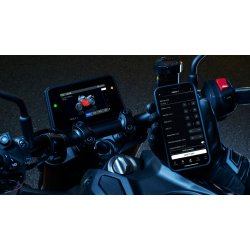 Yamaha MT-09SP - Icon Performance - 2024
