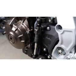 Yamaha XSR900 GP - Power Grey - 2024