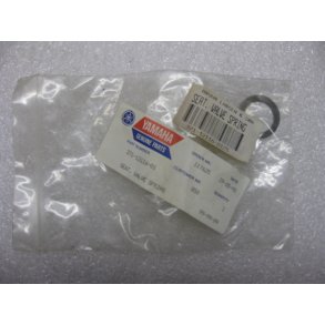 Ventilfjedersde XS500 / TX500   371-12116-01