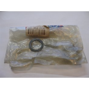 Ventilfjedersde XS750 / XS1100 m.fl.   1J7-12116-00