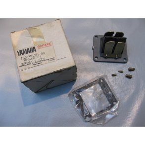 Indsug.Membran RD350LC	4L0-W1311-00